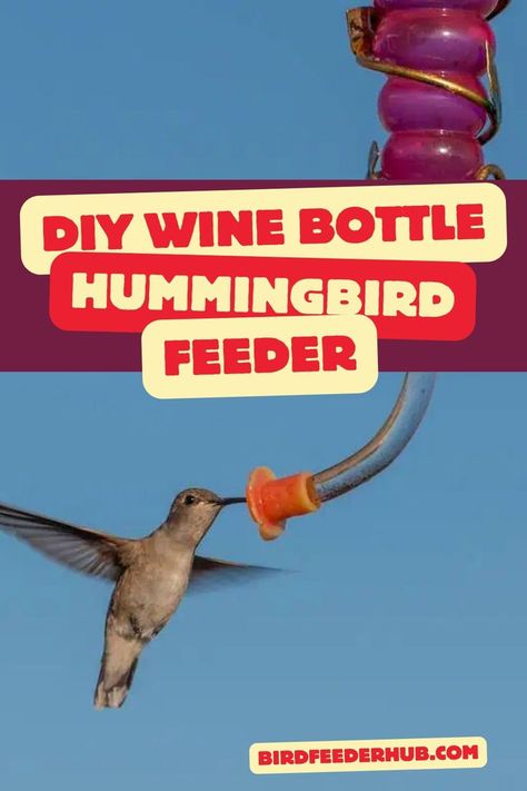 Did you know you can save your leftover wine bottles to make hummingbird feeder? It's easy to make these unique looking feeders, and easy to jazz them up with your own customizations. Follow our easy guide for this fun DIY project. Hummingbird Feeder Diy, Diy Hummingbird Feeder, Wine Bottle Bird Feeder, Diy Wine Bottle, Leftover Wine, Simple Diy Projects, Hummingbird Feeder, Diy Birds, Wine Bottle Diy