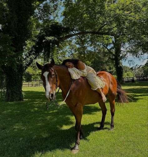 taylor giavasis Taylor Giavasis, Desert Cowgirl, Country Girl Aesthetic, Manifest Board, Black Cowgirl, Soft Life, Pony Club, Evergreen Plants, Vision Board Inspiration