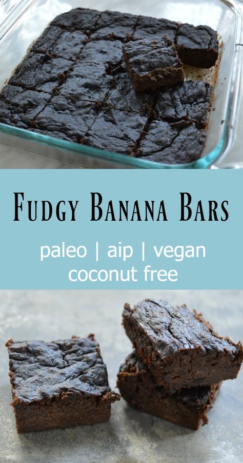 Fudgy Banana Bars (Paleo, AIP, Vegan) - Gutsy By Nature Aip Bars, Aip Vegan, Aip Diet Recipes, Autoimmune Recipes, Autoimmune Paleo Recipes, Aip Paleo Recipes, Aip Desserts, Banana Bars, Paleo Banana