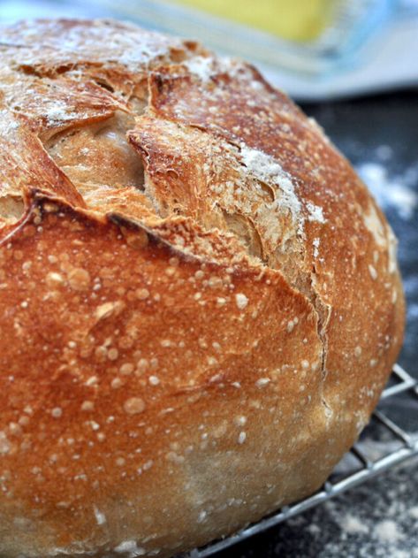 Bread Dough In Bread Machine, Sour Dough Bread Machine Recipe, Dough In Bread Machine, Bread Machine Sourdough Bread, Bread Machine Sourdough, Sourdough Bread Machine, Bread Machine Recipes Healthy, Zojirushi Bread Machine, Artisan Sourdough Bread Recipe