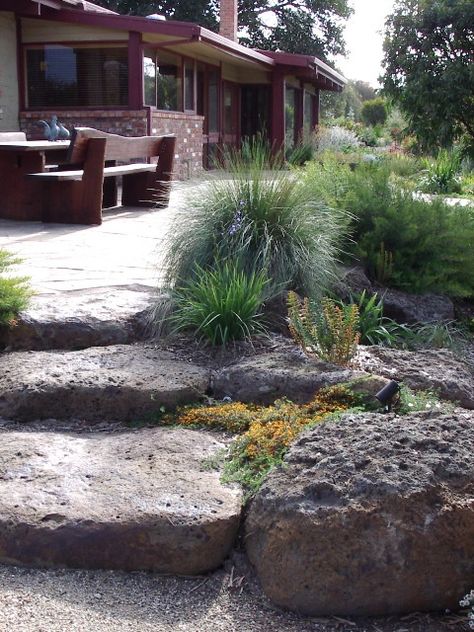 www.samcoxlandscape.com Volcanic rocks and native Australian garden Rockery Garden, Australian Garden Design, Landscape Steps, Bush Garden, Native Gardens, Australian Native Garden, Australian Landscape, Dry Garden, Australian Garden