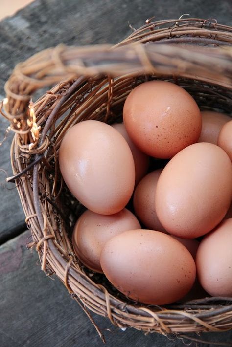 egg Storing Eggs, Ways To Cook Eggs, Chicken Aprons, Egg Pictures, Gardening Photography, Happy Farm, Brown Eggs, Farm Photography, Food Basket