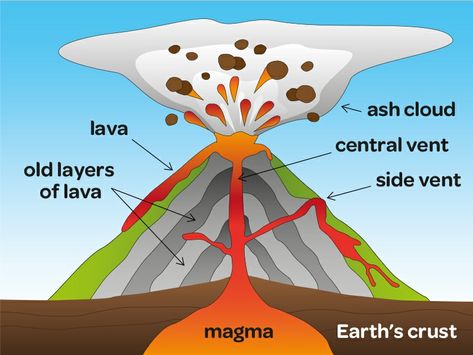 Volcano Illustration, Volcano Parts, Composite Volcano, Volcano For Kids, Volcano Worksheet, Volcano Types, Social Studies For Kids, Volcano Projects, Earth Surface