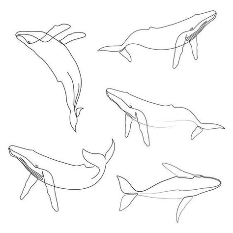 Whale Line Tattoo, Simple Whale Tattoo, Whale Line Art, Humpback Whale Tattoo, Whale Sketch, Line Art Tattoo, Whale Drawing, Helmet Art, Cute Simple Tattoos