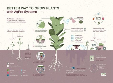 Agricultural Infographic on Behance Infographic Illustration Design, Agriculture Classroom, Agriculture Photography, Agricultural Engineering, Education Poster Design, Information Visualization, Info Board, Data Visualization Design, Infographic Poster