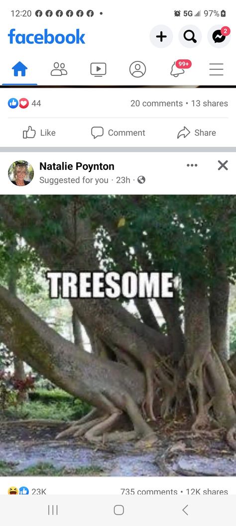 Tree Puns, Smiling Tree, Dirty Mind, Very Funny Pictures, Some Funny Jokes, Funny Puns, Quick Jokes, Really Funny Pictures, Really Funny Memes