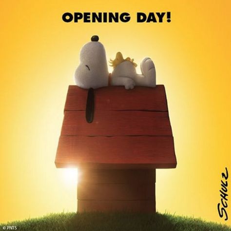 The Peanuts Movie is in theaters today! Snoopy Movie, Charlie Brown Movie, The Peanuts Movie, Little Dorrit, Kimberly Williams, Peanuts Movie, Film Trailer, In Theaters Now, Jennifer Coolidge