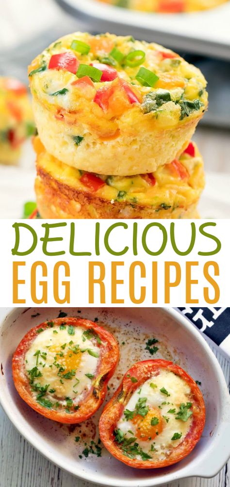 Eggs are easy to cook with and incredibly versatile. You can make so many different things with them from main dishes to snacks. We have rounded up some of our favorite delicious egg recipes here to share with you. Meals That Use A Lot Of Eggs, Main Dish Egg Recipes, Egg Dishes For Dinner Healthy, Many Eggs Recipes, Recipes With Eggs Dinner, Recipes That Use A Lot Of Eggs, Egg Dishes, Homemade Egg Drop Soup, Brunch Egg Dishes