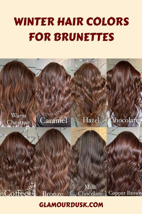 I love these Winter Hair Colors For Brunettes. These include brown hair, chestnut, burgundy, mocha and more hair dye for women. These hair colors for winter are so easily maintained. Fall Hair Dye Ideas For Brunettes, Different Types Of Brown Hair Shades, Chestnut Color Hair, Brown Hair Chestnut, Hair Color Ideas For Brunettes Fall 2024, Winter Brunette Hair Color, Burnett Hair, Chestnut Brunette, Brown Cinnamon Hair Color