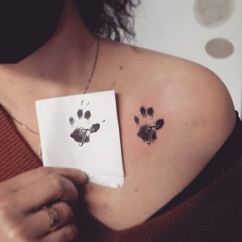 Dog Paw Tattoo Placement, Paw Print Collar Bone Tattoo, Collar Bone Tattoo Paw Print, Multiple Paw Print Tattoo, Paw Print Tattoo Dog Small Ankle, Paw Tattoos For Women, Dog Paw Print Tattoo On Thigh, Dog Pawprint Tattoo, Paw Print Dog Portrait Tattoo