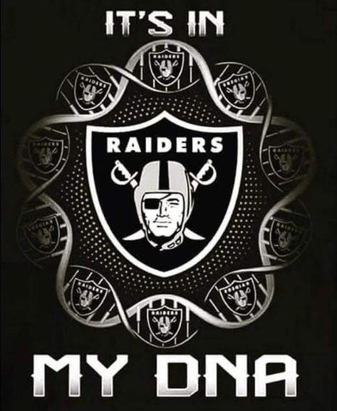 Raiders Car, Raiders Tattoos, Funny Football Pictures, Oakland Raiders Wallpapers, Oakland Raiders Images, Oakland Raiders Fans, Raiders Wallpaper, Raiders Stuff, Oakland Raiders Logo