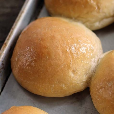 Potato Rolls or Bread Recipe Potato Bread Recipe Homemade, Potato Bread Rolls, Irish Potato Bread, Potato Water, Oatmeal Dinner, Potato Bread Recipe, Potato Rolls Recipe, Sweet Potato Rolls, Sweet Potato Dinner