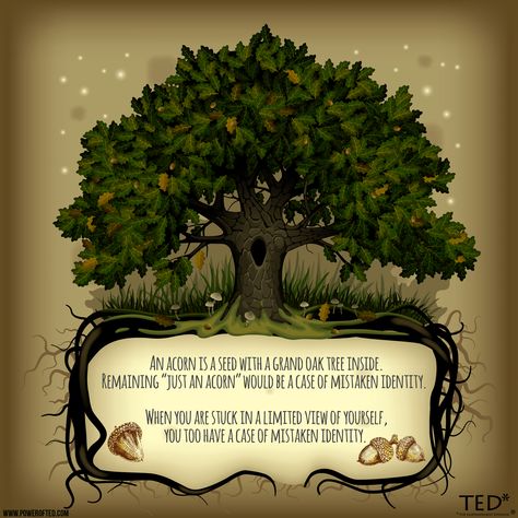 Oak Tree Quotes, Teacher Motivation, Tree Quotes, Mighty Oaks, Old Oak Tree, Bad Life, Teacher Inspiration, Ideas Family, Tree Tattoo