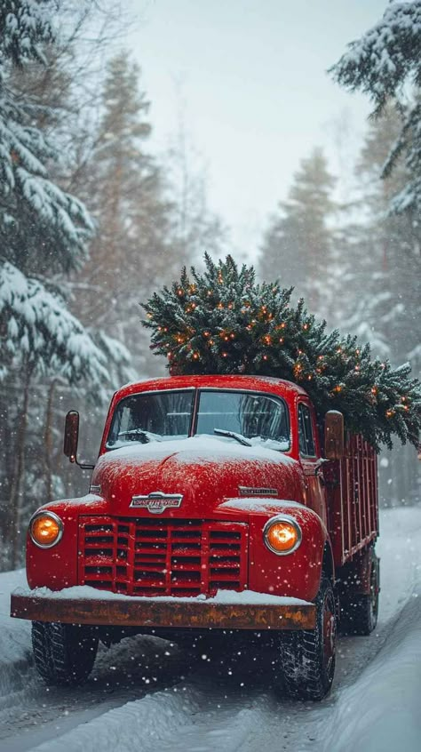 Get this beautiful 8K mobile wallpaper of a red truck carrying a Christmas tree through a snowy winter wonderland. Perfect festive background for your iPhone. Christmas Truck Wallpaper, 4k Christmas Wallpaper, Winter Wonderland Background, Greeting Cards For Christmas, Tree Mobile, Red Truck Christmas Tree, Holiday Backgrounds, Truck Christmas Tree, Truck Wallpaper