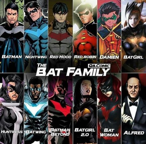 Dc Comics Bat Family, All Robins Bat Family, Dc Bat Family, The Batfamily, The Bat Family, Batman And Batgirl, Gotham Knights, Dc Comics Heroes, Flash Arrow