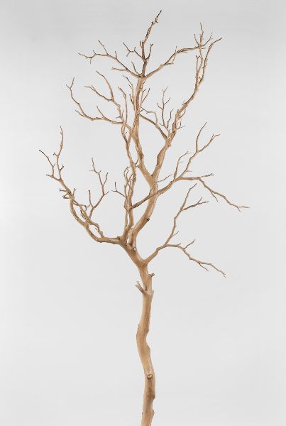 15.00 SALE PRICE! Center your decorations around this striking artificial manzanita branch. Drape the branch with crystals, wrap it with ribbon, or adorn it ... Dried Tree Branches, Branches Decor, Bouquet Succulent, Manzanita Tree, Manzanita Branches, Tree Stem, Dry Tree, Artificial Branches, Tree Branch Wall