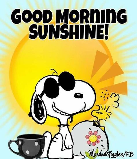 Good Morning, Sunshine! Sunshine Images, Good Morning Meme, Funny Good Morning Memes, Grumpy Cats, Good Morning Snoopy, Morning Memes, Snoopy Funny, Snoopy Images, Peanuts Cartoon