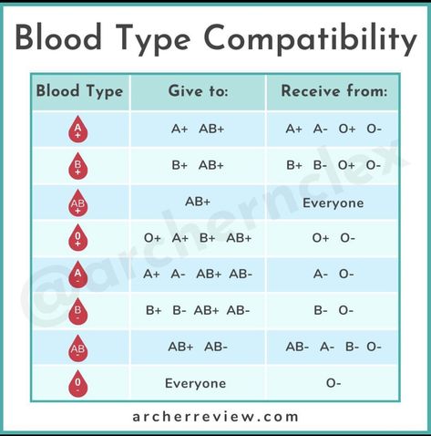 Phlebotomy Study Cheat Sheets, Ascp Exam, Blood Type Chart, Hematology Nursing, Exam Help, Phlebotomy Study, Nurse Essentials, Patient Care Technician, Medical Assisting