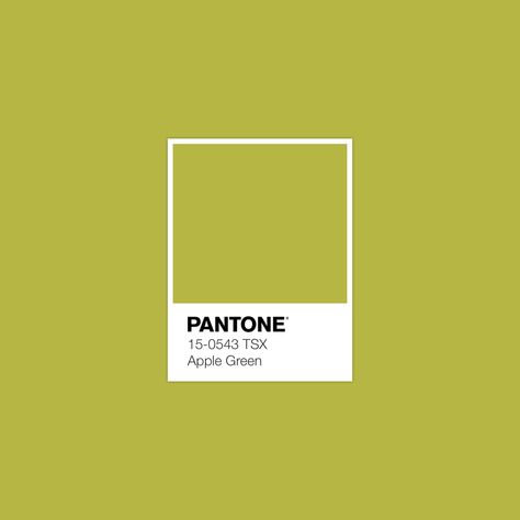 A P P L E * G R E E N Pantone Green, Color Library, Green Branding, Yellow Pantone, Wedding Color Pallet, Color Pantone, Fashion Textiles, Pantone Colour Palettes, Chartreuse Color