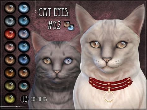 Non-default Eyes for the Sims 4 cats Found in TSR Category 'Sims 4 Sets' Sims 4 Pets Mod, Sims Pets, Ts4 Mods, Sims 4 Cc Eyes, Sims Ideas, Sims 4 Gameplay, Sims 4 Characters, Cat Eyes, Sims 4 Cc Finds