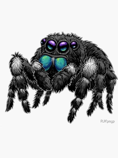 "Daring Jumping Spider Phidippus Audax" Sticker by RJKpoyp | Redbubble Cartoon Spider, Cute Spider Art, Cute Jumping Spider Tattoo, Cute Spider Drawing, Jumping Spider Tattoo Design, Jumping Spider Drawing, Spooky Spider Drawing, Jumping Spider Tattoo, Cute Spider