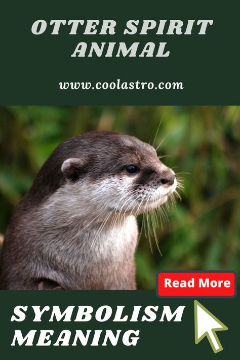 Click here to know about Otter spirit animal, we have explained spritual meaning of Otter. Visit the website The most in-depth Otter Symbolism & Otter Meanings! Otter as a Spirit, Totem, & Power Animal. Otter Spirit Animal, Good Parents, Spirit Animal Meaning, Animal Meanings, Spiritual Animal, Signs From The Universe, Power Animal, Spirit Animals, Animal Totems