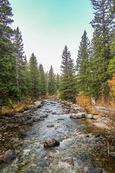 Fall In Montana, Montana Scenery, Montana Fall, Montana Aesthetic, Montana Life, Montana Living, Adventure Goals, Montana Cabin, Montana Landscape