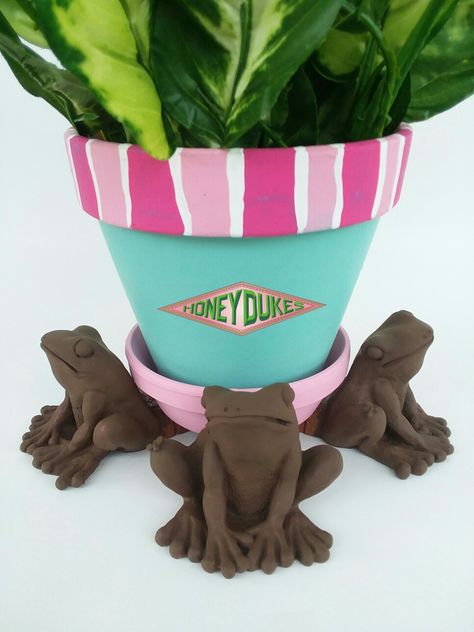 Harry Potter Clay Pots, Harry Potter Plant Pot, Harry Potter Flower Pot, Harry Potter Garden Ideas, Harry Potter Ceramics Ideas, Harry Potter Pottery, Harry Potter Garden, Caravan Garden, Harry Potter Plants