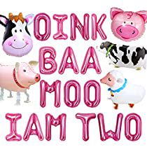 Barnyard 2nd Birthday, Farm 2nd Birthday, Pig Balloon, Farm Animal Party, Farm Animals Theme, Farm Animals Birthday Party, Farm Themed Birthday Party, Pig Birthday Party, Moo Moo