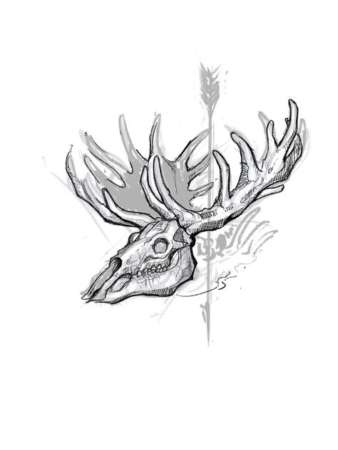 Digital moose skull sketch created by @ezcape60 #mooseskull #deerskull #animalskull #antlers #whitetaildeer Deer Skull Drawing, Antler Drawing, Antlers Drawing, Moose Skull, Elk Skull, Deer Skull Art, Skull Reference, Skull Sketch, Deer Drawing