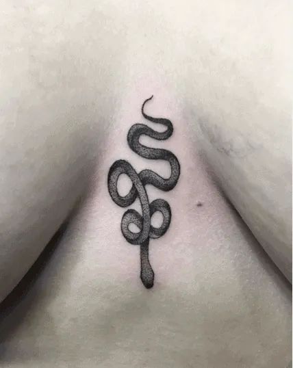 Snake Tattoo Ideas, Snake Tattoo Meaning, Small Snake Tattoo, Daisy Tattoo Designs, Japanese Snake Tattoo, Serpent Tattoo, Irish Tattoos, Arrow Feather, Snake Tattoo Design