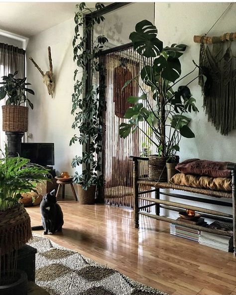 Houseplant Living Room, Minimalist Plant Living Room, Plant Lover Living Room, Dark Plant House Aesthetic, Nature Living Room Aesthetic, Moody Plant Living Room, Interior Plants Living Room, Rainforest Home Decor, Boho Living Room With Plants