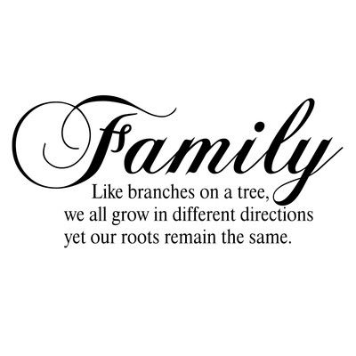 Family Like Branches On A Tree, Family Tree Quotes, Seahorse Drawing, Family Quotes And Sayings, Family Words, Cricket Machine, Family Wall Quotes, Family Quotes Inspirational, Tree Quotes