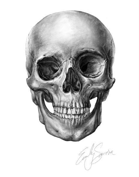 Pencil drawing skull tattoo anatomy #drawing #art #anatomy #tattoo #tattooideas #design #pencil #sketch #reference #ideas Skull Drawing Pencil, Skull Pen Drawing, Anatomy Tattoo, Art Anatomy, Sketch Reference, Drawing Skull, Skull Sketch, Half Skull, Reference Ideas