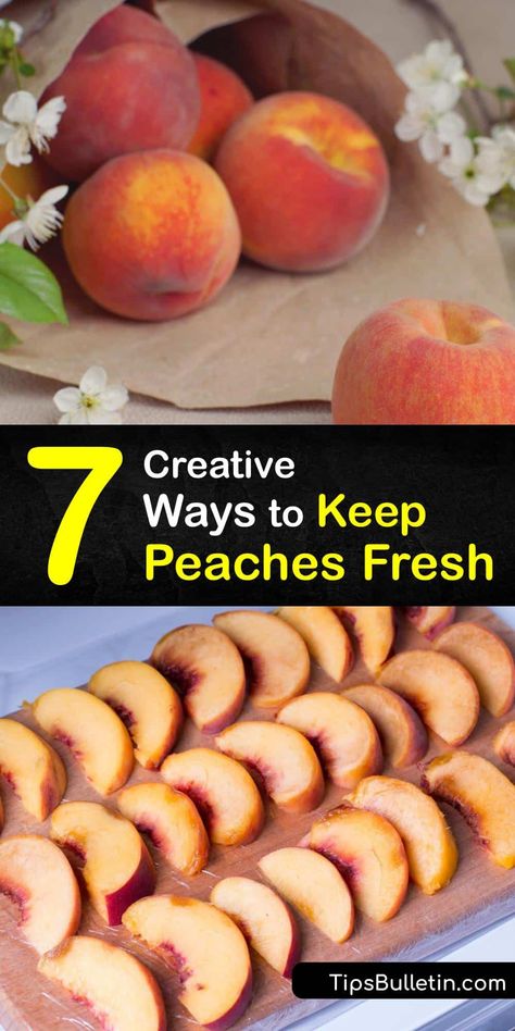 How To Store Peaches, Peach Recipes Dinner, Freezing Peaches, Peach Freezer Jam, Fresh Peach Recipes, Food Spoilage, Preserving Foods, Kidney Friendly Foods, Peach Recipes