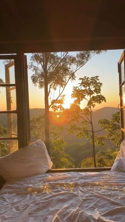 Cottagecore Morning, Australia Video, Sunset Window, Window With A View, Best Airbnb, Cabin Lodge, The Rainforest, Sunrise Sunset, Dream Life