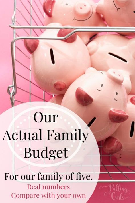 Sample budget for a family of 5 #budget #family #familyfinances #familybudget Family Of 5 Budget, Budget For Family Of 4, One Income Family, Family Budget Planner, Sample Budget, Budget Guide, Financial Budget, Savings Goals, Money Saving Techniques