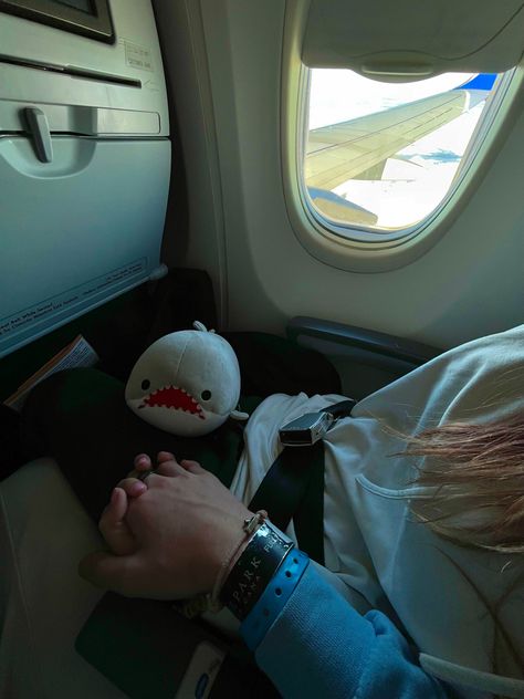 Plane With Boyfriend, Airplane Couple Aesthetic, Couple On Plane, Couple Plane Aesthetic, Airplane Couple, Shark Couple, Lemon Shark, Fly Plane, Plane Flight