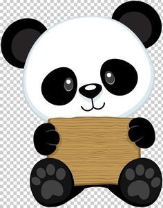 Panda Bear Drawing, Panda Png, Red Panda Baby, Giant Panda Bear, Baby Pandas, Baby Panda Bears, Panda Baby, Panda Lindo, Shapes Preschool