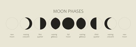 The Moon, Moon Phases on a black background. The whole cycle from the new moon to the full moon. Astronomy and lunar calendar vector illustration Calendar Vector, Phase One, Moon Moon, Lunar Calendar, Moon Cycles, The Full Moon, New Moon, Moon Phases, Crescent Moon