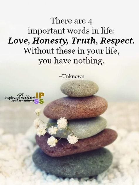 There are 4 very important words in life. • #Love #Honesty #Truth #Respect #LifeLessons #YouHaveNothing Inspire Positive Soul Sensations, Honesty Quotes, Powerful Phrases, Encouraging Quotes, Truth Of Life, Encouragement Quotes, Words Of Encouragement, Inspirational Quotes Motivation, Daily Inspiration