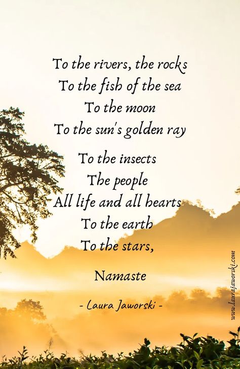 Namaste by Laura Jaworski (@bugburrypond) 💖 | #quotes #peacequotes #naturequotes #spiritualityquotes #meditation #laurajaworski www.laurajaworski.com Namaste Quotes, Heaven Images, Doodle Quotes, History People, Writers And Poets, Peace Quotes, Peace On Earth, Inspirational Thoughts, Nature Quotes