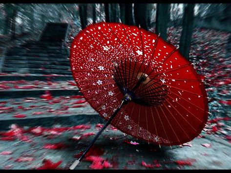 Wifi-Hire Overseas — Top 10 Must-Have Japanese Souvenirs Japanese Parasol, Japanese Umbrella, Umbrella Art, Paper Umbrellas, Red Umbrella, Under My Umbrella, Singing In The Rain, Umbrellas Parasols, Dancing In The Rain