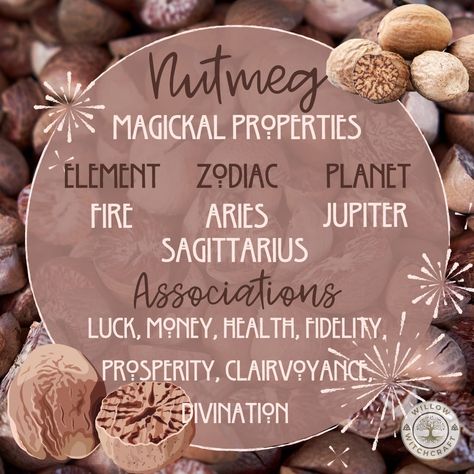 Oats In Witchcraft, Nutmeg Magical Properties, Turmeric Witchcraft, Witchy Ingredients, Herb Meanings, Plant Symbolism, Witchcraft Meaning, Magical Food, Herbal Witch