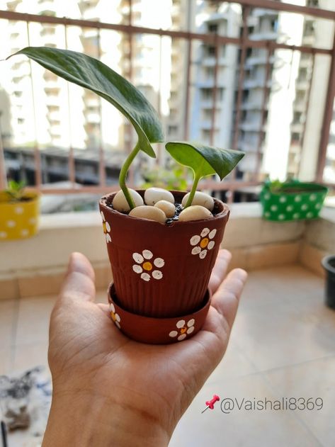 #miniplanter #diyplanter #moneyplantdecor #balconydecor #easydiy Kulhad Decoration Ideas, Mud Cup Painting, Kulhad Painting Ideas, Kulhad Art, Kulhad Painting, Dreamy Doodles, Clay Date, Tulsi Pot, Paint Bottles