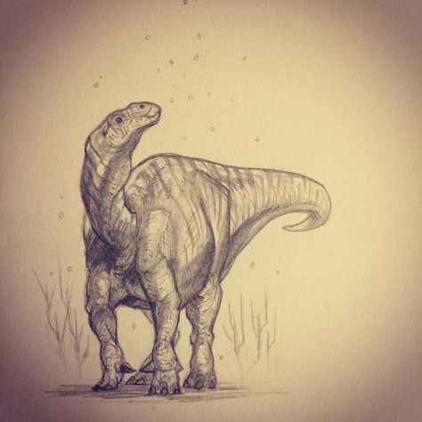 Iguanodon - Visit http://www.brynnart.com/ Iguanodon Drawing, Brynn Metheney, Dinosaur Artwork, Dino Drawing, Dino Art, Forearm Sleeve, Paleo Art, Leg Sleeve, Dinosaur Art