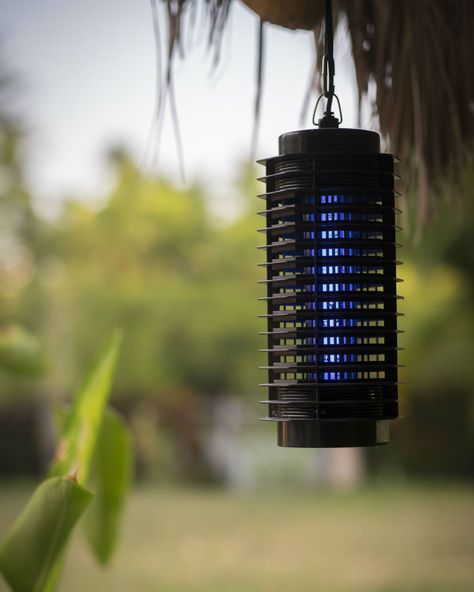 The Best Bug Zappers for Indoors and Out Down Aesthetic, Backyard Play Spaces, Fly Zapper, Get Rid Of Flies, Mosquito Zapper, Types Of Bugs, Kill Mosquitos, Bug Killer, Bug Zapper