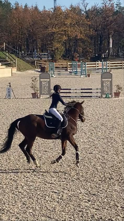 Equestrian Aesthetic Jumping, Equestrian Life Aesthetic, Equestrian Aesthetic Outfit, Horse Jumping Aesthetic, Horse Riding Outfit Aesthetic, Aesthetic Horse Pictures, Horse Rider Aesthetic, Show Jumping Aesthetic, Riding Horse Aesthetic