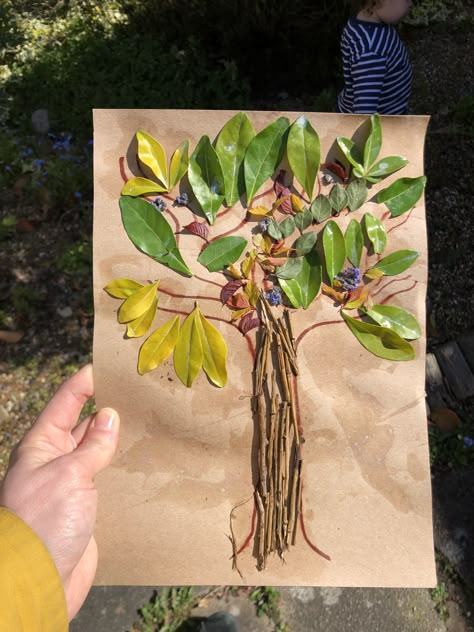 Painting With Nature Preschool, Tree Process Art Preschool, Nature Collage For Preschoolers, Reggio Fall Art, Botany Waldorf, Leaf Art Diy, Seasons Preschool, Nature Collage, Nature Projects