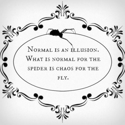 "Normal is an illusion. What is normal for the spider is chaos for the fly." - Morticia Normal Is An Illusion, What Is Normal, A Silent Voice, The Spider, The Fly, Quotable Quotes, Real Talk, The Words, Great Quotes